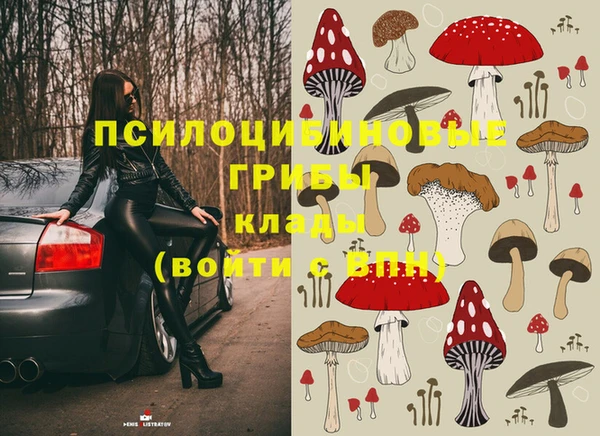 spice Липки