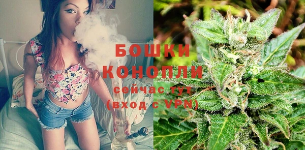 spice Липки