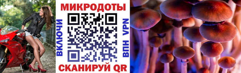 Псилоцибиновые грибы MAGIC MUSHROOMS Черепаново